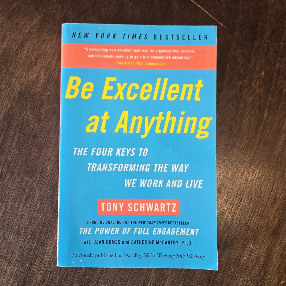 Be Excellent At Anything Book Self Help Motivational